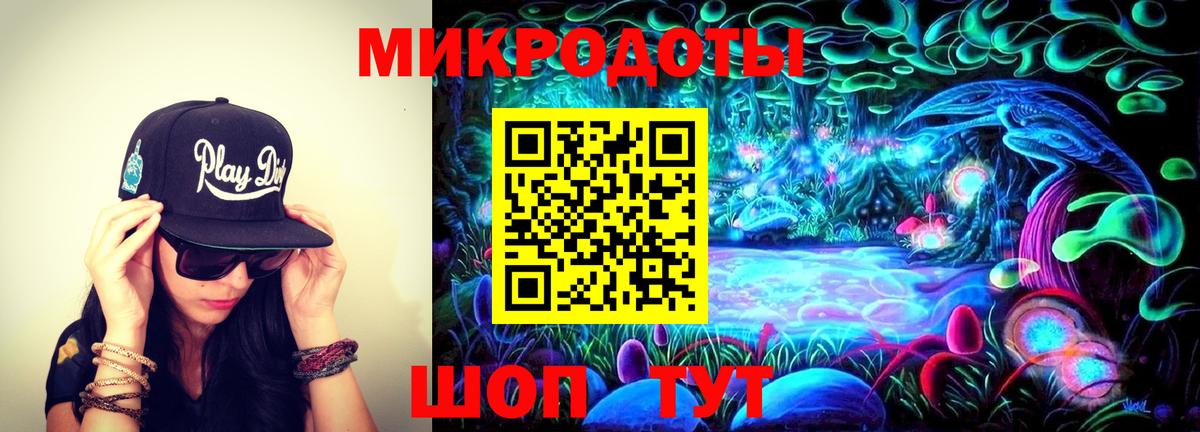 Псилоцибиновые грибы Psilocybine cubensis  Вход с VPN  Кострома 