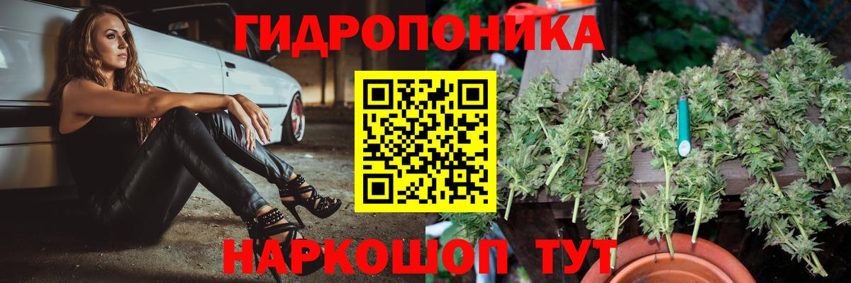 Кострома  Каннабис SATIVA & INDICA  Конопля ГИДРОПОН  МАРИХУАНА OG Kush  Вход с VPN 